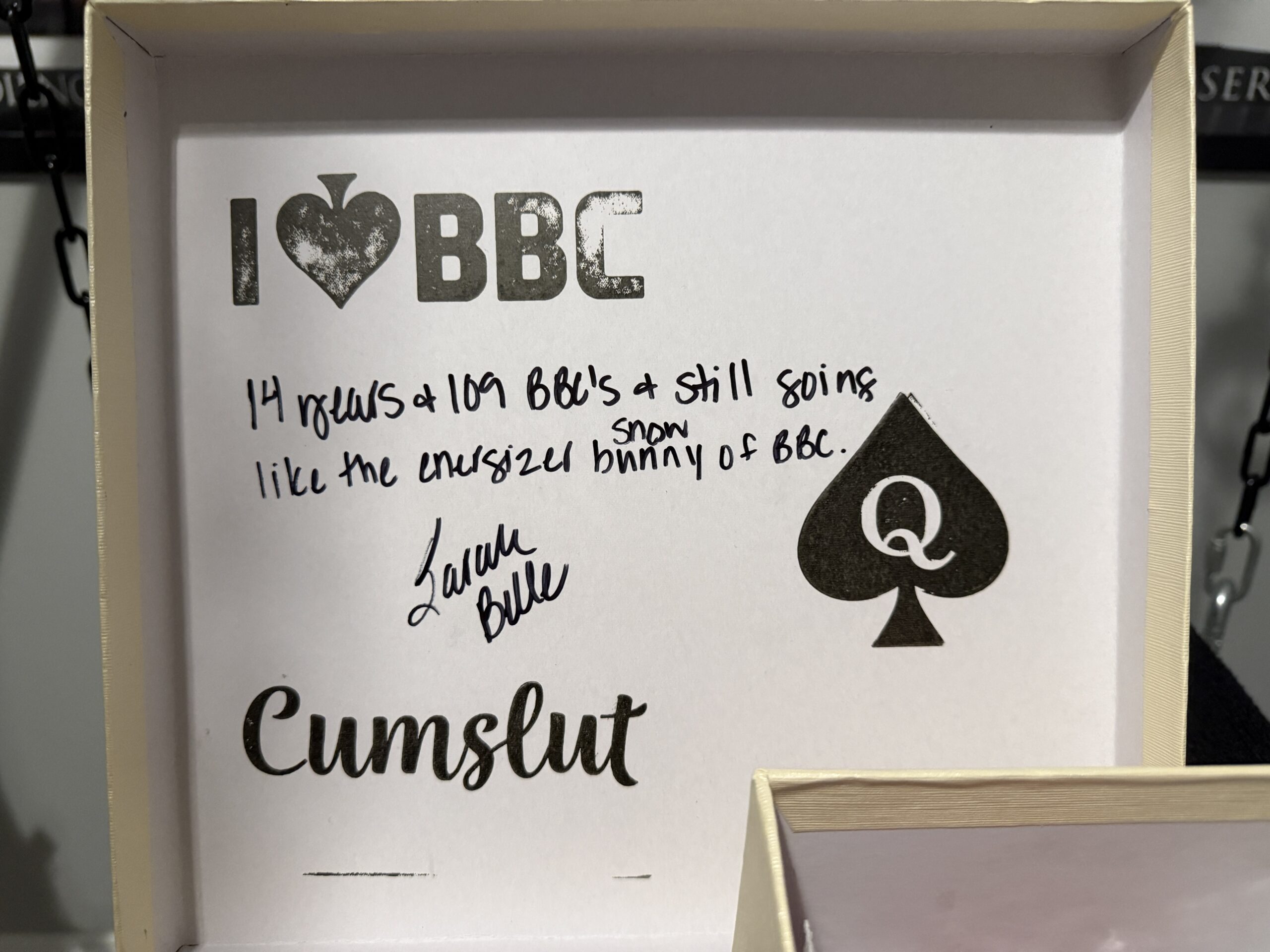 Sarah Belle Signature Collector’s Edition — Custom Well Worn & Used BBC Heels Archive (2011–2025) - Image 15