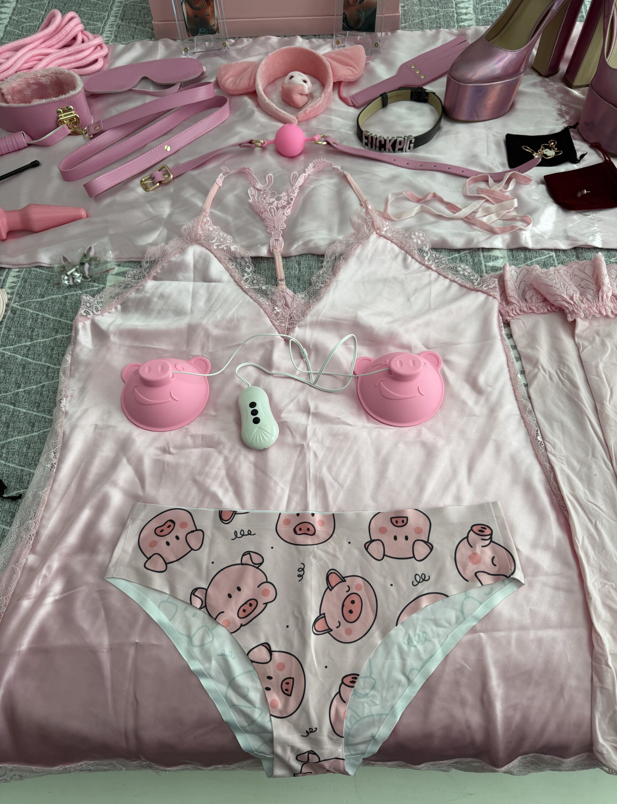 Miss Piggy Box Memorabilia Package From My Wildest GB Night! š„š· - Image 8